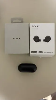 ワイヤレスイヤホン R10 本体 ワイヤレスイヤホン R10 本体 - メルカリ