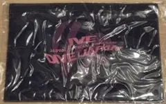 IVE DIVE JAPAN FC 継続特典 オリジナルポーチ