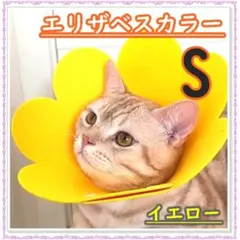 神城冥†様 リクエスト 2点 まとめ商品