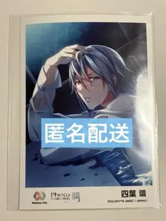 【匿名配送】四葉環 レインボーシティ コンテンツプリント ブロマイド