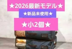 ★最新モデル★帝人★収納ケースプレミアム★小2個★ネイビー★新品