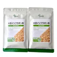 Item thumbnail for item 762beee4-5dd5-425e-aa35-106d640c4755