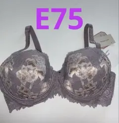 Item thumbnail for item a206357e-145f-4d5d-92fd-54891d672131