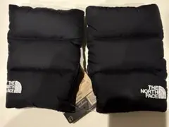 Item thumbnail for item 02fbe9f3-7062-4ff0-860c-ef71d43a4db1