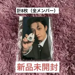 Stray Kids skzooたまごっち 特典 トレカ