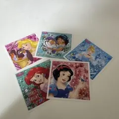 ディズニー プリンセス シール セット