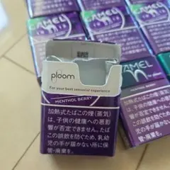 空箱♡CAMEL Ploom メンソールベリー 16箱♡工作♡コード未使用