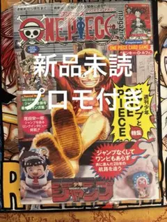 ONE PIECE マガジン 20号　プロモ　カード付録付き　1冊