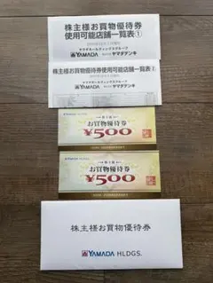 YAMADA HLDGS. お買物優待券 500円×2枚