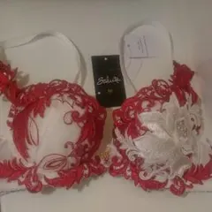 新作サルートランジェリー