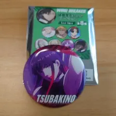 WIND BREAKR ウィンブレ　場面写缶バッジコレクション　　椿野