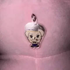 岩田剛典 着ぐるみキーホルダー パンダ 岩田剛典 パンダ 着ぐるみ キーホルダー フィギュア コレクション JSB3