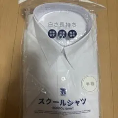 Item thumbnail for item 64f6c681-a0fc-4990-974d-e845ac3c3638