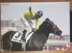 名馬列伝　ウオッカ　A1サイズポスター　JRA 日本ダービー　競馬 2026年最新】日本ダービー ポスターの人気アイテム - メルカリ
