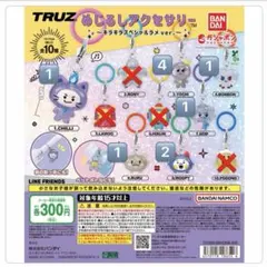 TRUZ めじるしアクセサリー ～キラキラスペシャルラメver.～ まとめ売り