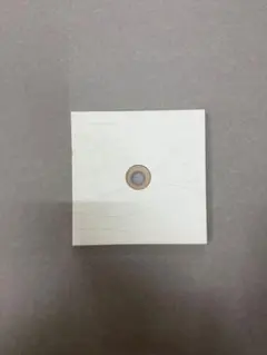 Item thumbnail for item 7b3a72e0-2a8d-426d-a694-65106f56bfbf