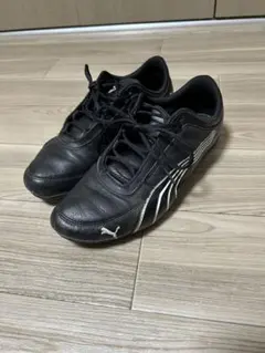 Item thumbnail for item 85ec0e26-c092-447b-9a5b-63d5d64e2d11