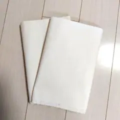 Item thumbnail for item c7b4c30a-5919-4aa6-92c4-64b4f45eaa9a