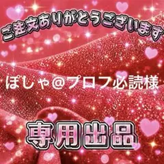 ぽしゃ@プロフ必読様　専用出品ページ