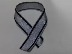 シルバーリボン①