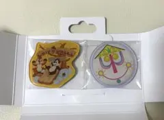 東京ディズニーリゾート　ディズニー　ランダムマグネット