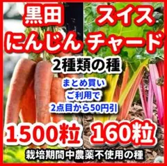 スイスチャード＆黒田にんじんの種セット⭕️のサムネイル