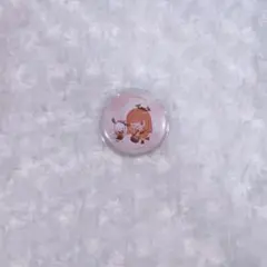 カラフルピーチ　サンリオコラボ　缶バッチ　えと