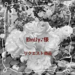 Emily♪様　リクエスト商品