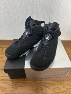 Nike Air Jordan 6 Retro Metallic Silver