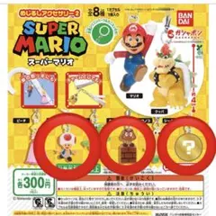 スーパーマリオ　めじるしアクセサリー 2 キノピオ　クリボー シークレットマリオ