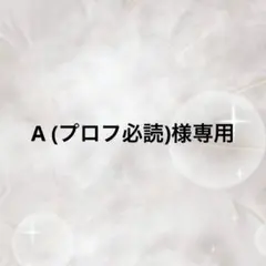 A (プロフ必読)様専用