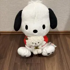 ポチャッコぬいぐるみ　ポチャッコ　サンリオ