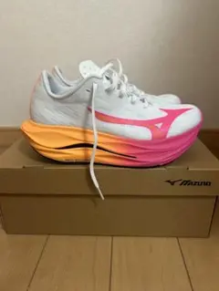 Item thumbnail for item efa8fdaa-bc1f-46da-8cd0-ea69cea45aa9