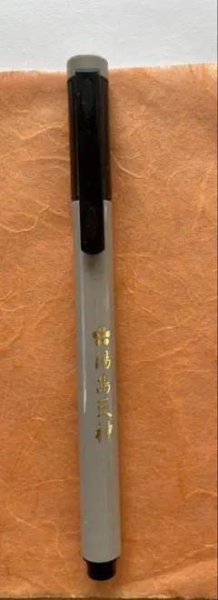 Item thumbnail for item 02fc9bb0-adce-4fbc-8ea7-dcca81a3307f