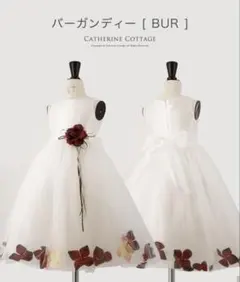 Catherine Cottage バージンディー [ BUR ] ドレスのサムネイル