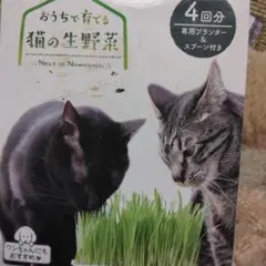 고양이를 위한 생야채 4인분을 담을 수 있는 전용 화분이 함께 제공됩니다.