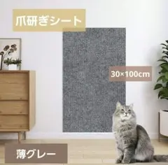 Item thumbnail for item b5123801-922c-40cf-a2ec-cbe9e1c63fec