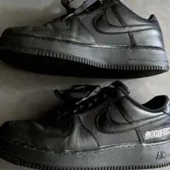 NIKE AIRFORCE1 GORE-TEX US9