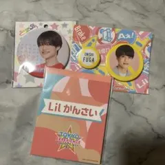 Item thumbnail for item 68b50c3a-866d-42a7-aecd-8b5b473ef6e4