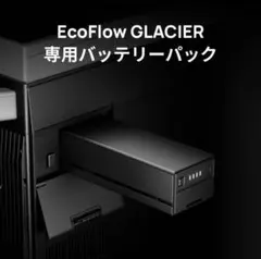 大型OLED Gotek フロッピーエミュレーター 2台セット - メルカリ