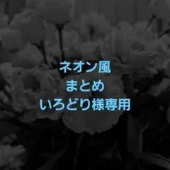 いろどり様 リクエスト 2点 まとめ商品