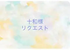 十和様 リクエスト 5点 まとめ商品