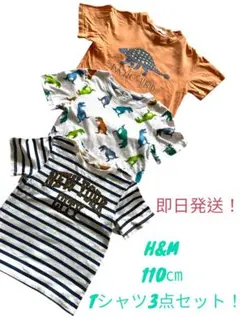H&M 110cm Tシャツ3点セットボーダー　恐竜　男の子　柄Tシャツ