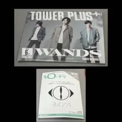 最終価格WANDS5期 - メルカリ