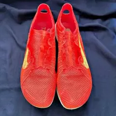 NIKE マーキュリアル ビクトリー III IC フットサル 30cm - メルカリ