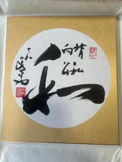 野口晴哉　色紙「魚化龍」 野口晴哉 色紙「魚化龍」 - メルカリ