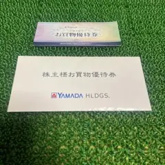 ヤマダ電機 株主優待券