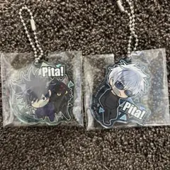 Pita! アクリルキーホルダー呪術廻戦