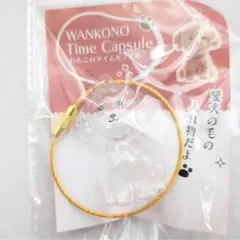わんこのタイムカプセル むぎ 愛犬 毛 プードル カプセルトイ ガチャ