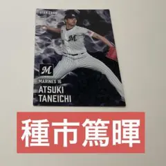 プロ野球チップス 2025 千葉ロッテマリーンズ 種市篤暉